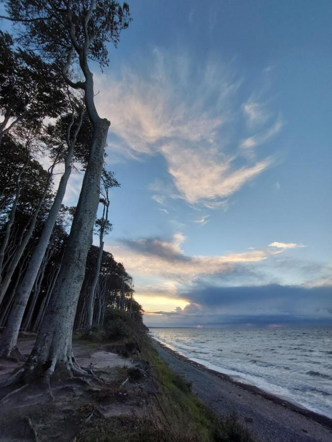 Ferienwohnung Kuestenanker Ostseebad Nienhagen Exteriér fotografie